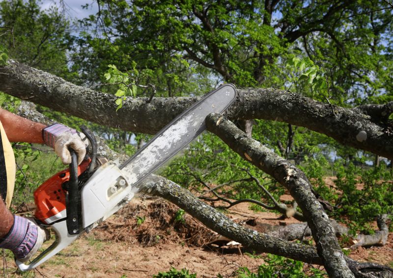 Home Tree Service detail