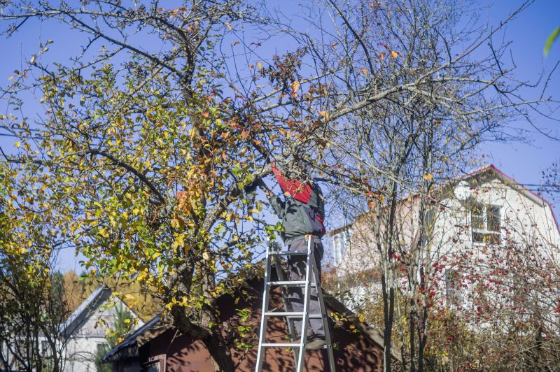 Home Tree Service detail